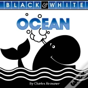 Capa do artigo Ocean