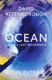 Capa do artigo Ocean