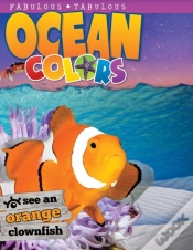 Capa do artigo Ocean Colors
