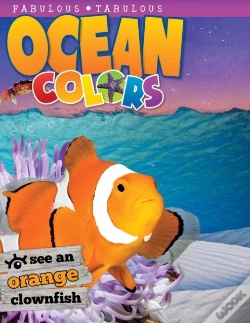 Capa do artigo Ocean Colors