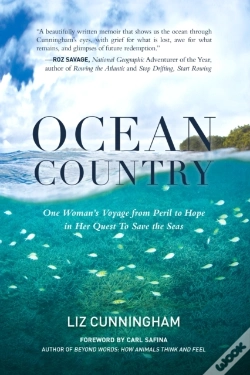 Capa do artigo Ocean Country