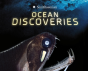 Ocean Discoveries - Preview