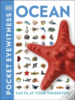 Capa do artigo Ocean