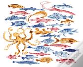 Ocean Dwellers Notecard Box