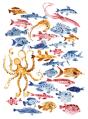 Ocean Dwellers Notecard Box - Preview