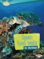 Ocean Food Webs In Action - Preview