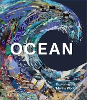 Capa do artigo Ocean
