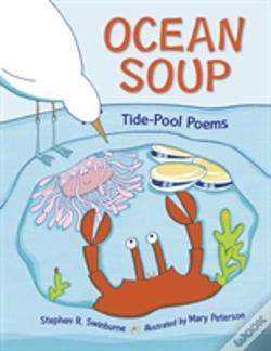 Capa do artigo Ocean Soup