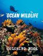 Ocean Wildlife Coloring Book - Preview