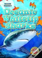 Oceanic Whitetip Sharks