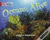 Oceans Alive