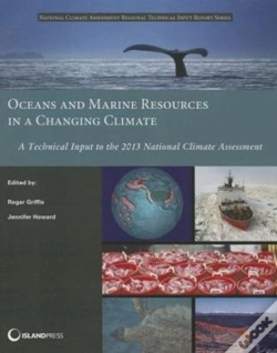 Capa do artigo Oceans And Marine Resources In A Changing Climate