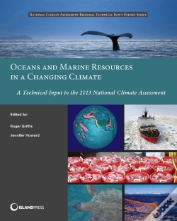 Capa do artigo Oceans And Marine Resources In A Changing Climate