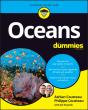 Oceans For Dummies - Preview