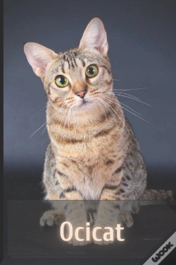 Capa do artigo Ocicat