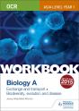 Ocr As/A Level Year 1 Biology A Workbook: Exchange And Transport; Biodiversity, Evolution And Disease - Preview