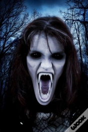 Capa do artigo Octavia.