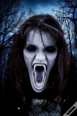 Capa do artigo Octavia.