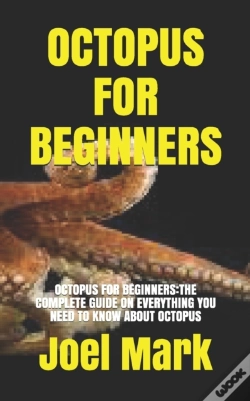 Capa do artigo Octopus For Beginners