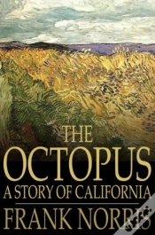 Capa do artigo Octopus