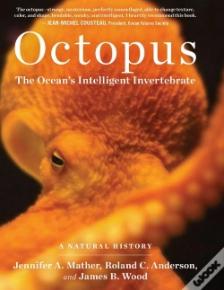 Capa do artigo Octopus
