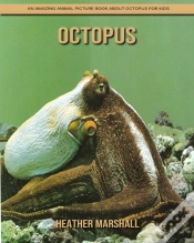 Capa do artigo Octopus