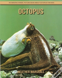 Capa do artigo Octopus