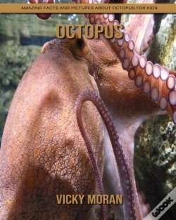 Capa do artigo Octopus