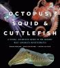 Octopus, Squid, And Cuttlefish - Preview