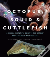 Capa do artigo Octopus, Squid, And Cuttlefish