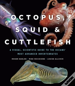 Capa do artigo Octopus, Squid, And Cuttlefish