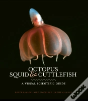 Capa do artigo Octopus, Squid & Cuttlefish