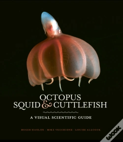 Capa do artigo Octopus, Squid & Cuttlefish