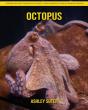 Octopus - Preview