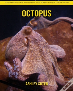 Capa do artigo Octopus