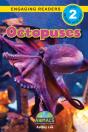 Octopuses - Preview
