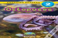 Octopuses
