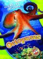Octopuses - Preview