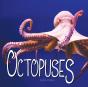 Octopuses - Preview