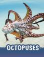 Octopuses - Preview