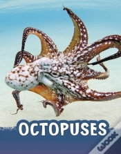Capa do artigo Octopuses