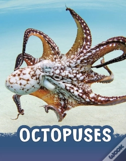 Capa do artigo Octopuses