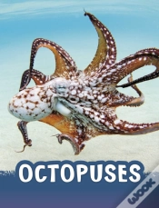 Capa do artigo Octopuses