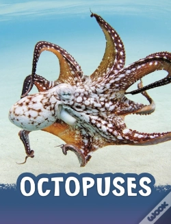 Capa do artigo Octopuses