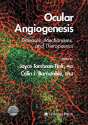 Ocular Angiogenesis - Preview