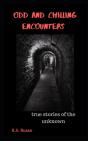 Odd And Chilling Encounters - Preview
