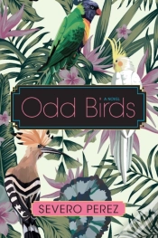 Capa do artigo Odd Birds