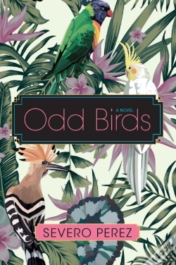 Capa do artigo Odd Birds