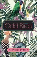 Odd Birds