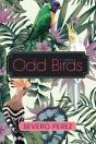 Odd Birds - Preview